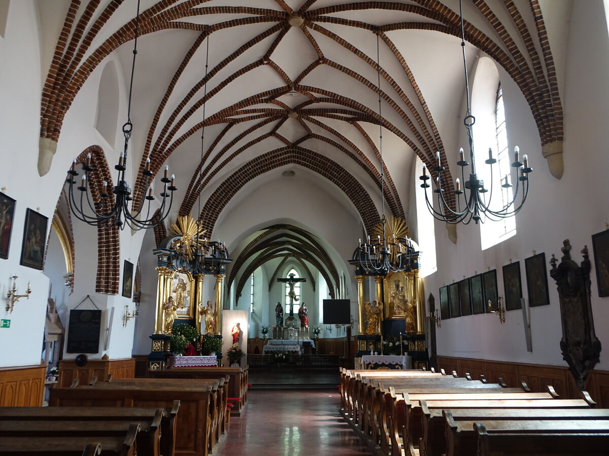 Radom, Innenraum der Klosterkirche St. Katharina, Chor mit Kreuzrippengewlbe, sptgotischer Hochaltar (14.06.2021)