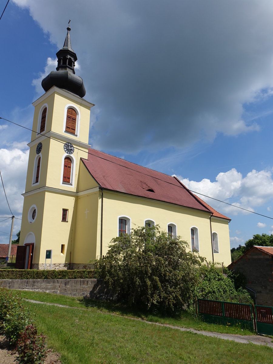 Radosovice, gotische St. Veit Kirche, Kirchenschiff 1727 barockisiert (01.06.2019)