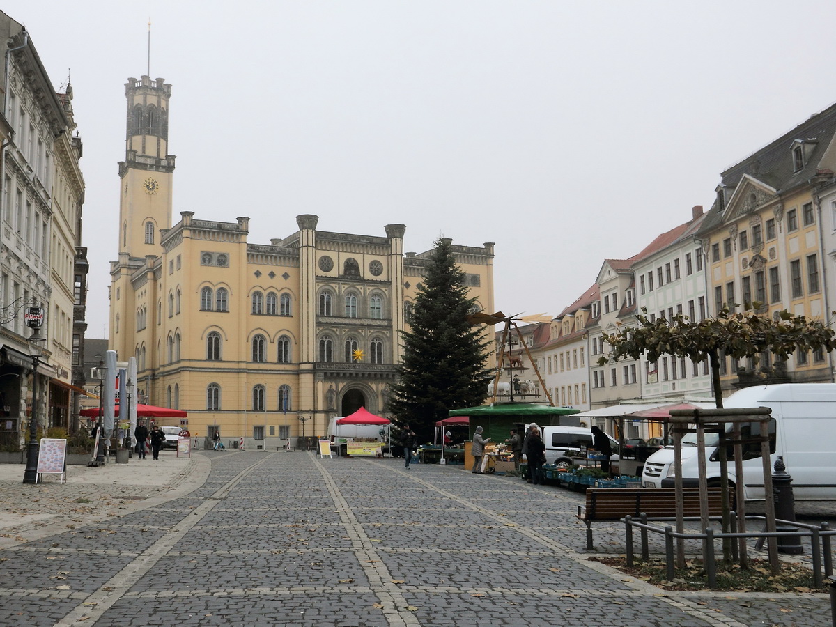 Rathaus Zittau am 26. November 2016 auch weihnachtlich geschmckt.