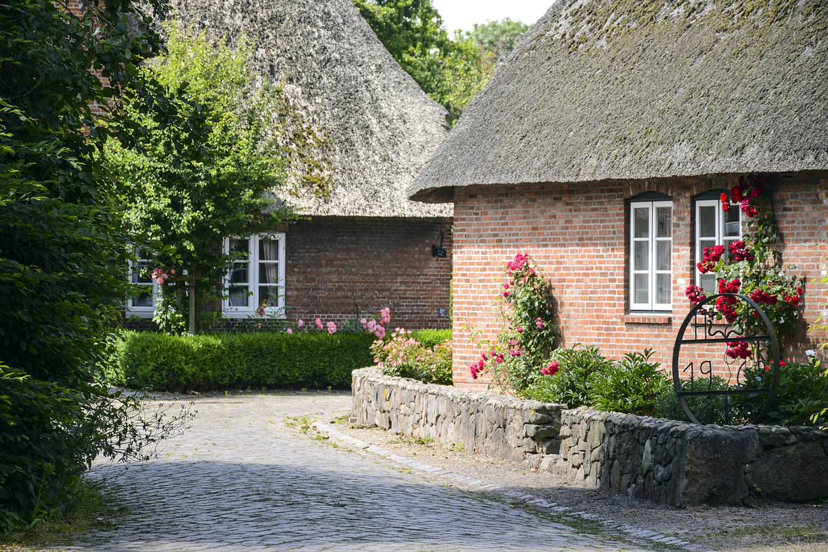 Reetdachhuser im Dorf Alkersum auf der Nordseeinsel Fhr. Aufnahme: 3. Juli 2019.