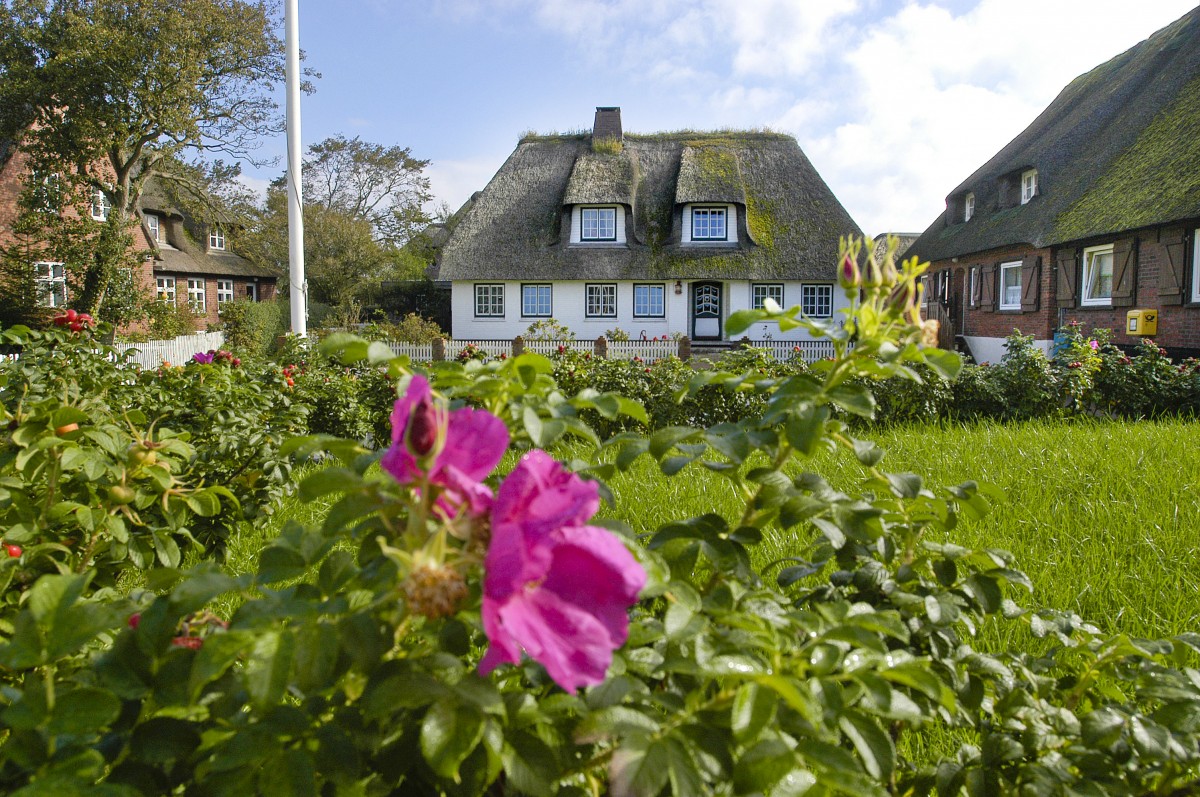 Reetdachhaus mit Garten im Dorf Land. Aufnahmedatum: 22. September 2008.
