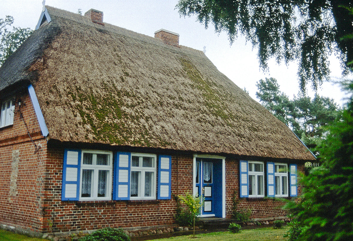 Reetdachhaus im Ostseebad Prerow auf der Halbinsel Fischland-Dar-Zingst. Bild vom Dia. Aufnahme: August 2001.