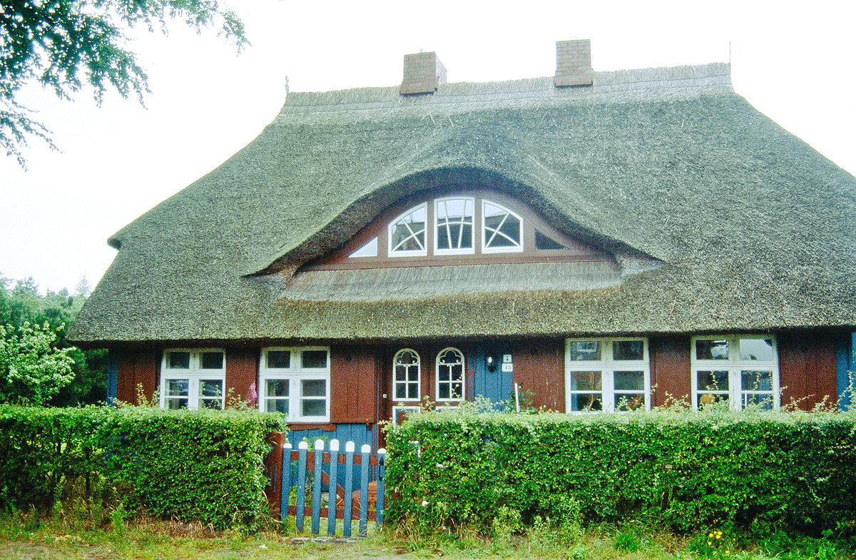 Reetdachhaus im Ostseebad Prerow auf der Halbinsel Fischland-Dar-Zingst. Bild vom Dia. Aufnahme: August 2001.