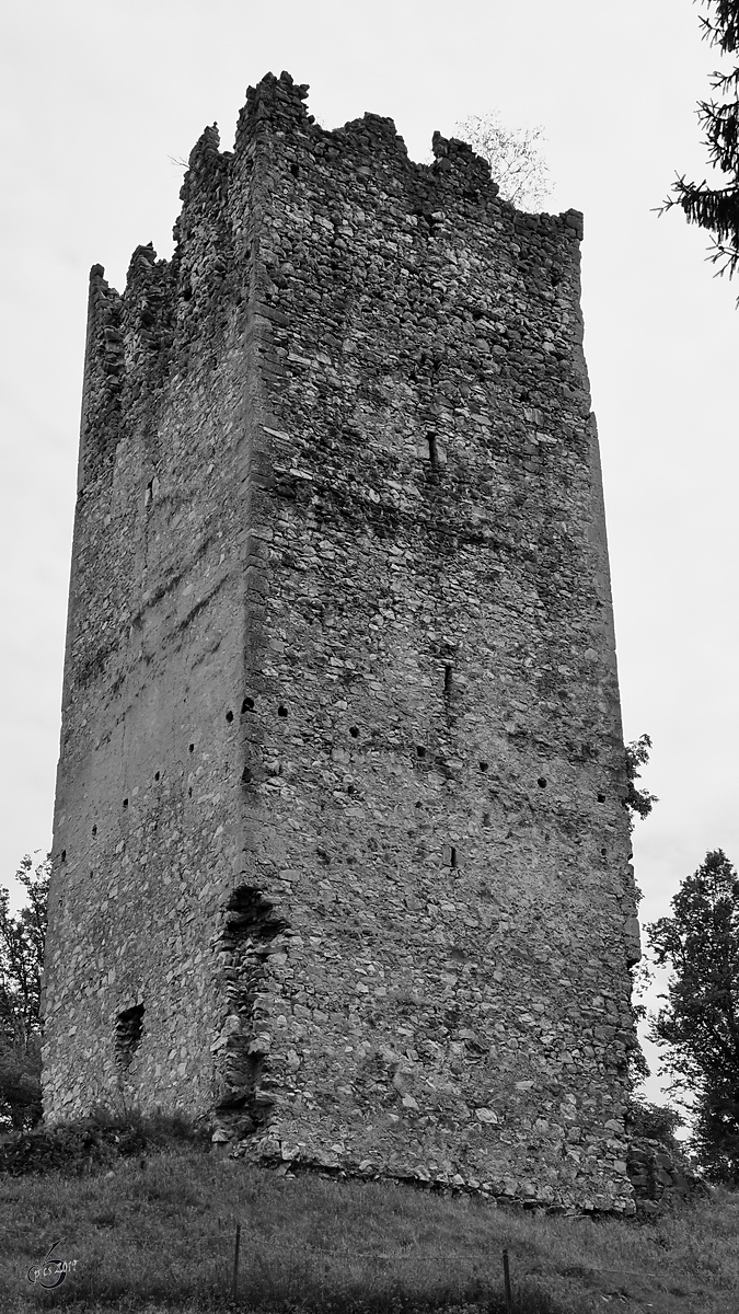 Reste des Bergfrieds der Burgruine Rosegg. (August 2019)