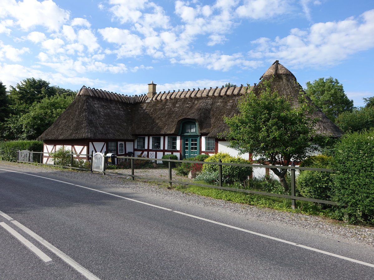 Revninge, Reetgedecktes Wohnhaus an der Bygade Strae (06.06.2018)