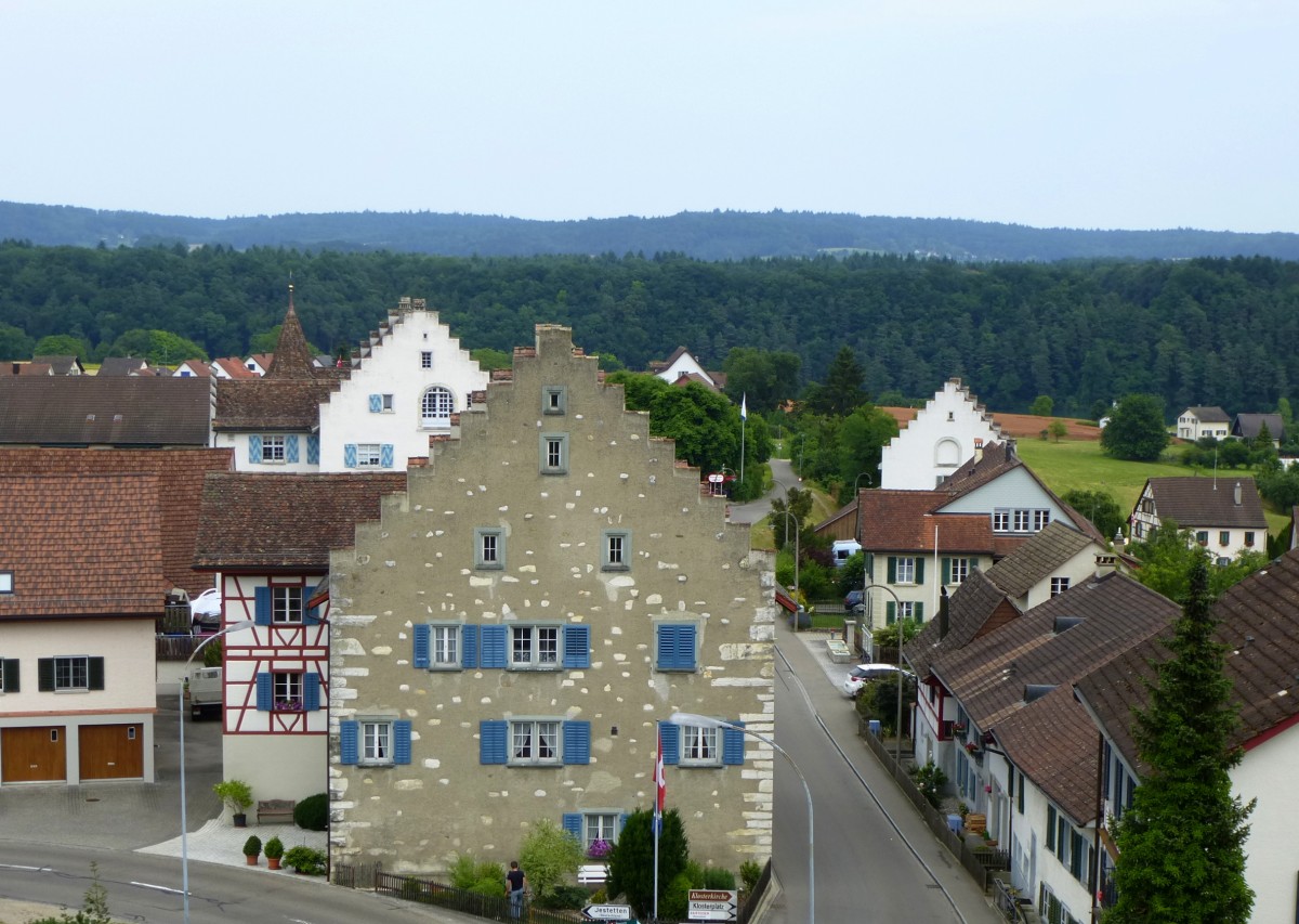 Rheinau, Blick von der Bergkirche auf den Ort, Juli 2013