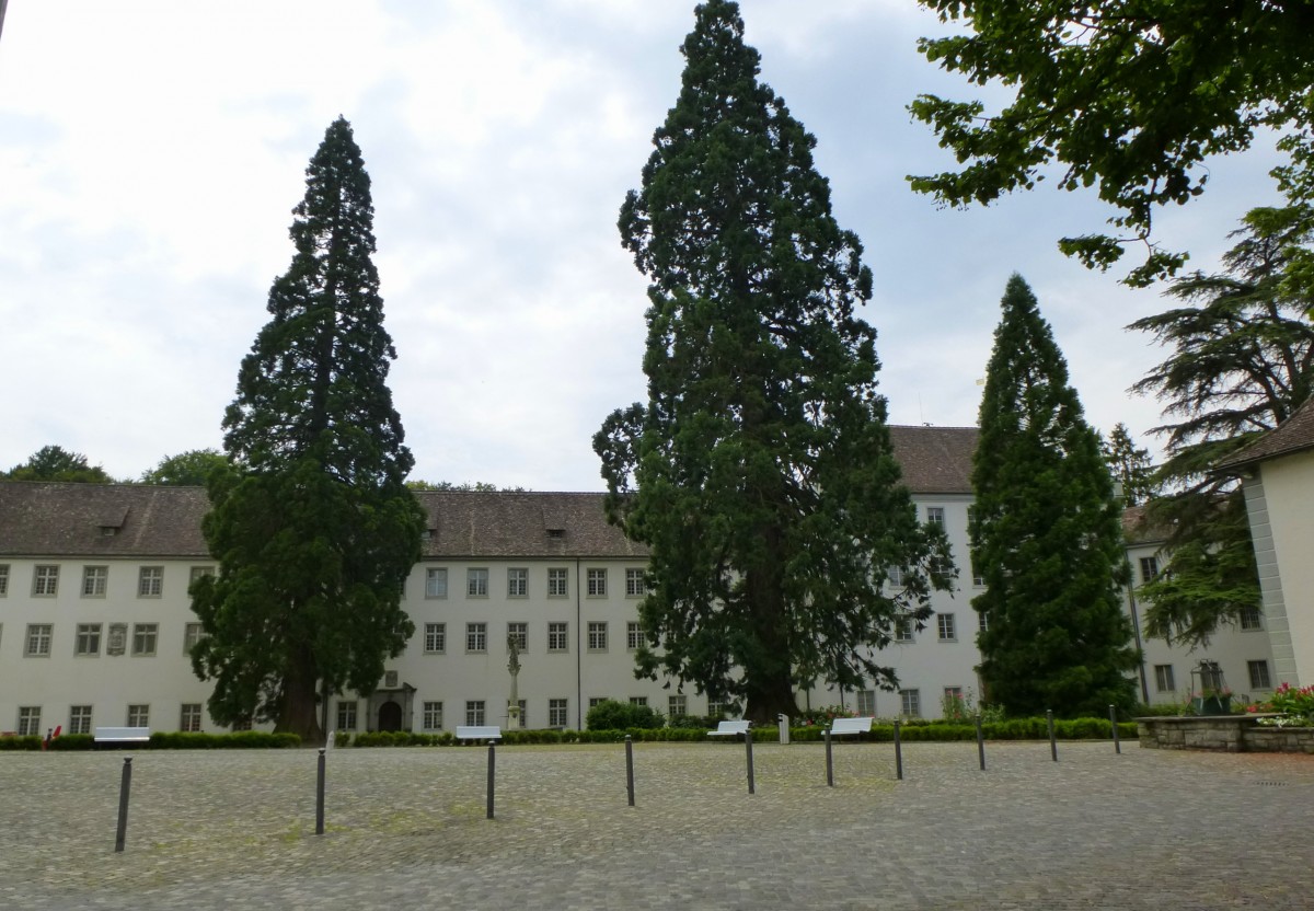 Rheinau, Blick über den Innehof der Klosteranlage, Juli 2013