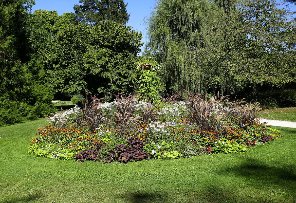 Rheinfelden AG, Blumenrabatte im Stadtpark, Sept.2019