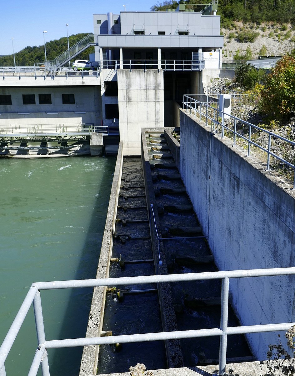 Rheinfelden AG, die Fischtreppe auf der schweizer Seite des Wasserkraftwerkes, Sept.2019