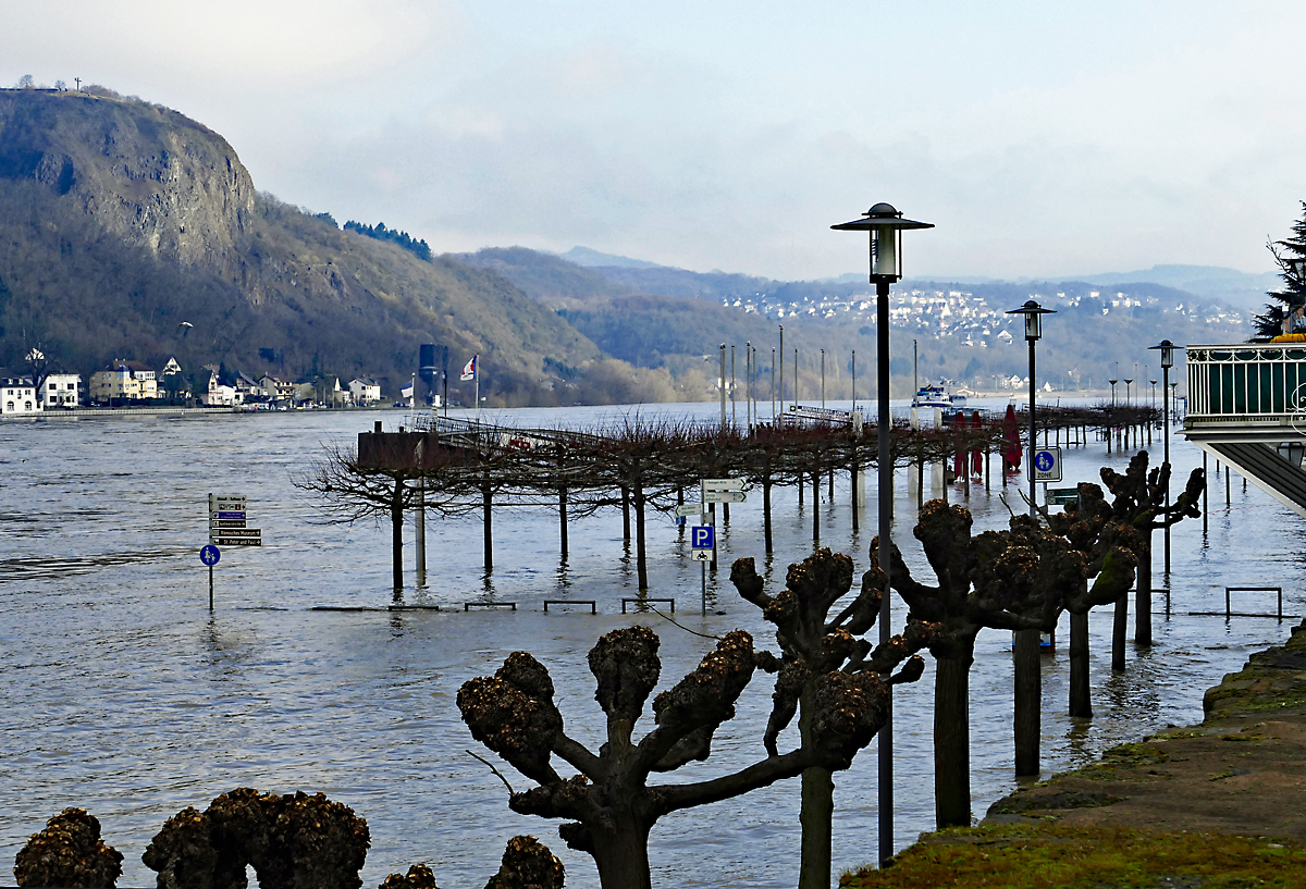 Rheinhochwasser in Remagen (rechts) und Erpel (links) - 27.01.2018