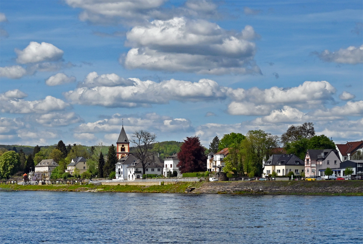 Rheinufer in Erpel am Rhein, unterhalb des Erpeler-Ley-Felsens - 30.04.2023