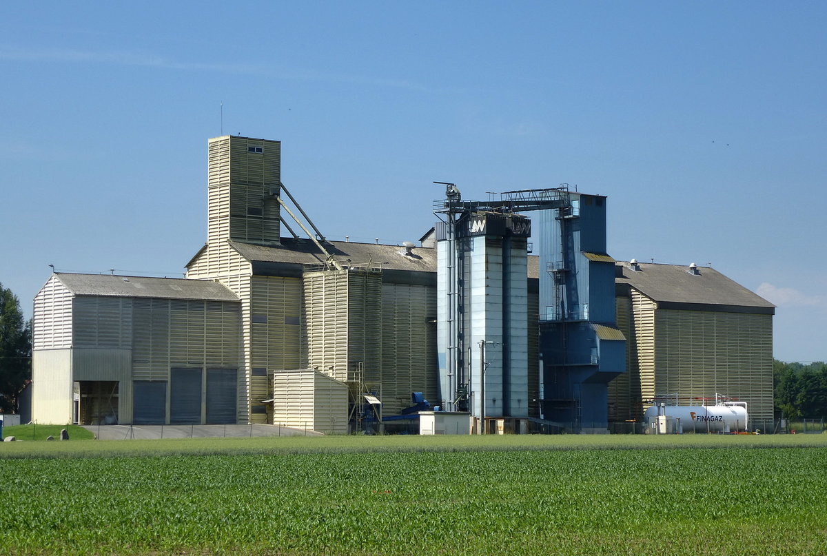 Richtolsheim, landwirtschaftlicher Betrieb am Ortsrand, Juni 2016