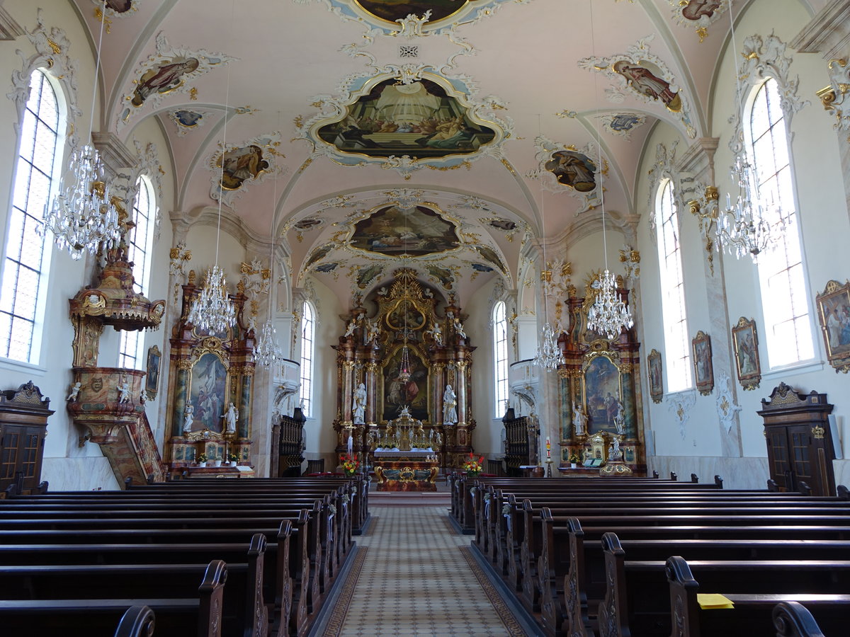 Riegel am Kaiserstuhl, Kanzel und Altre in der Kirche St. Martin,  Rokoko-Stuckarbeiten von Hans Georg Gigel, Altar- und Deckengemlde von Benedikt Gambs (14.08.2016) 