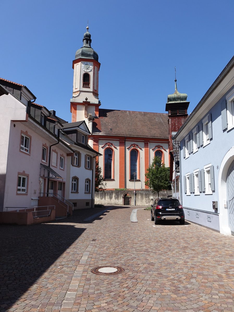 Riegel am Kaiserstuhl, Pfarrkirche St. Martin, erbaut von 1743 bis 1749 von Baumeister Franz Rudhart (14.08.2016)