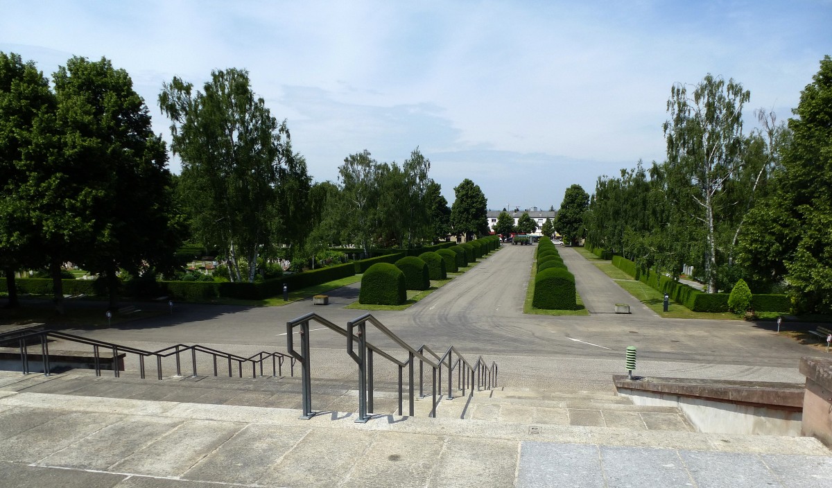 Riehen, Blick von der groen Freitreppe auf die Eingangsallee des Friedhofes  Am Hrnli , Juni 2015