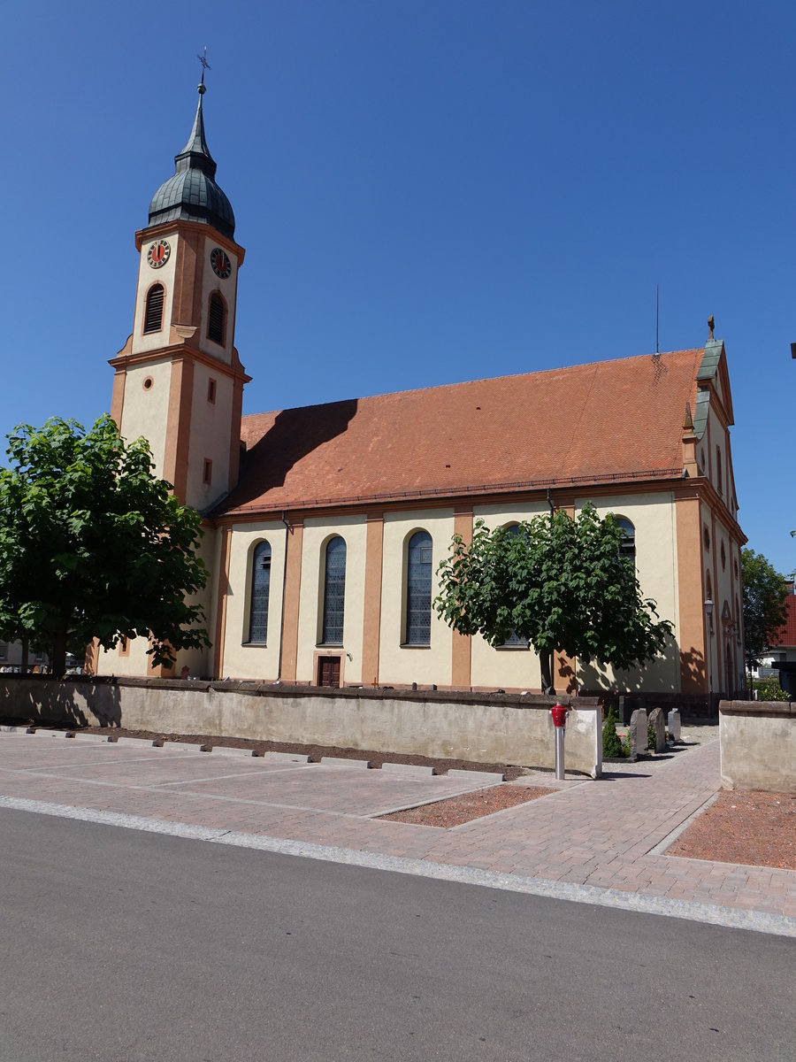 Ringsheim, Pfarrkirche St. Johann-Baptist, erbaut von 1784 bis 1785 durch Joseph Hirschbhl (14.08.2016)