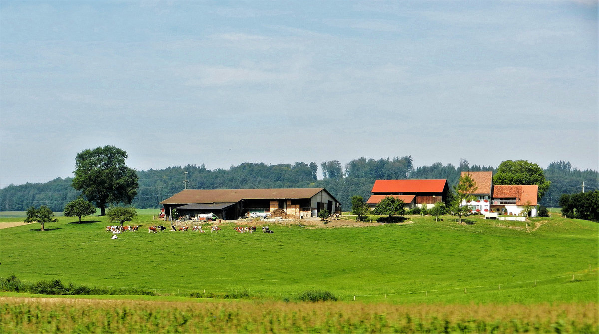 Romont, landwirtschaftlicher Betrieb an der Route de la Comba 2 - 22.08.2013