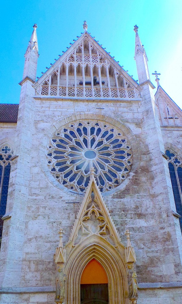 Rose an der Schaufassade der Bachkirche  Divi Blasii  in Mhlhausen/ Thr
29.08.2015