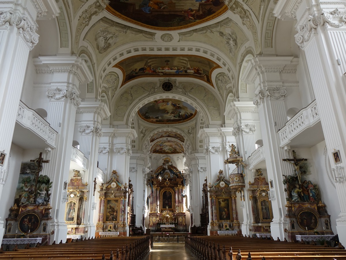 Rot a. d. Rot, Klosterkirche St. Verena, Fresken von Januarius Zick, Kanzel und Altre von Franz Xaver Feuchtmayer dem Jngeren, Chorgesthl von Andreas Etschmann (29.01.2016)