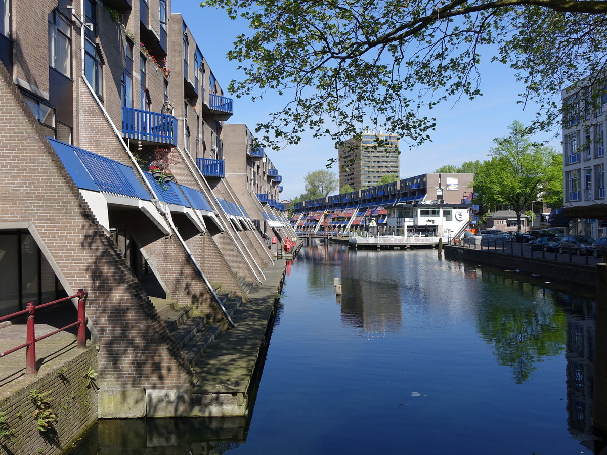 Rotterdam, moderne Häuser am Deltseveer (11.05.2016)