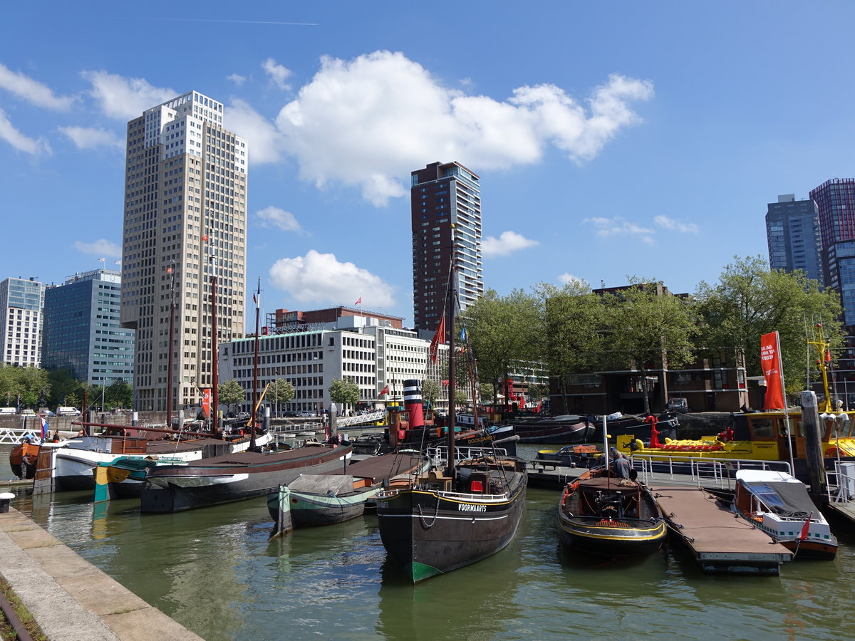 Rotterdam, Museumsschiffe des Hafenmuseum im Bierhaven (11.05.2016)
