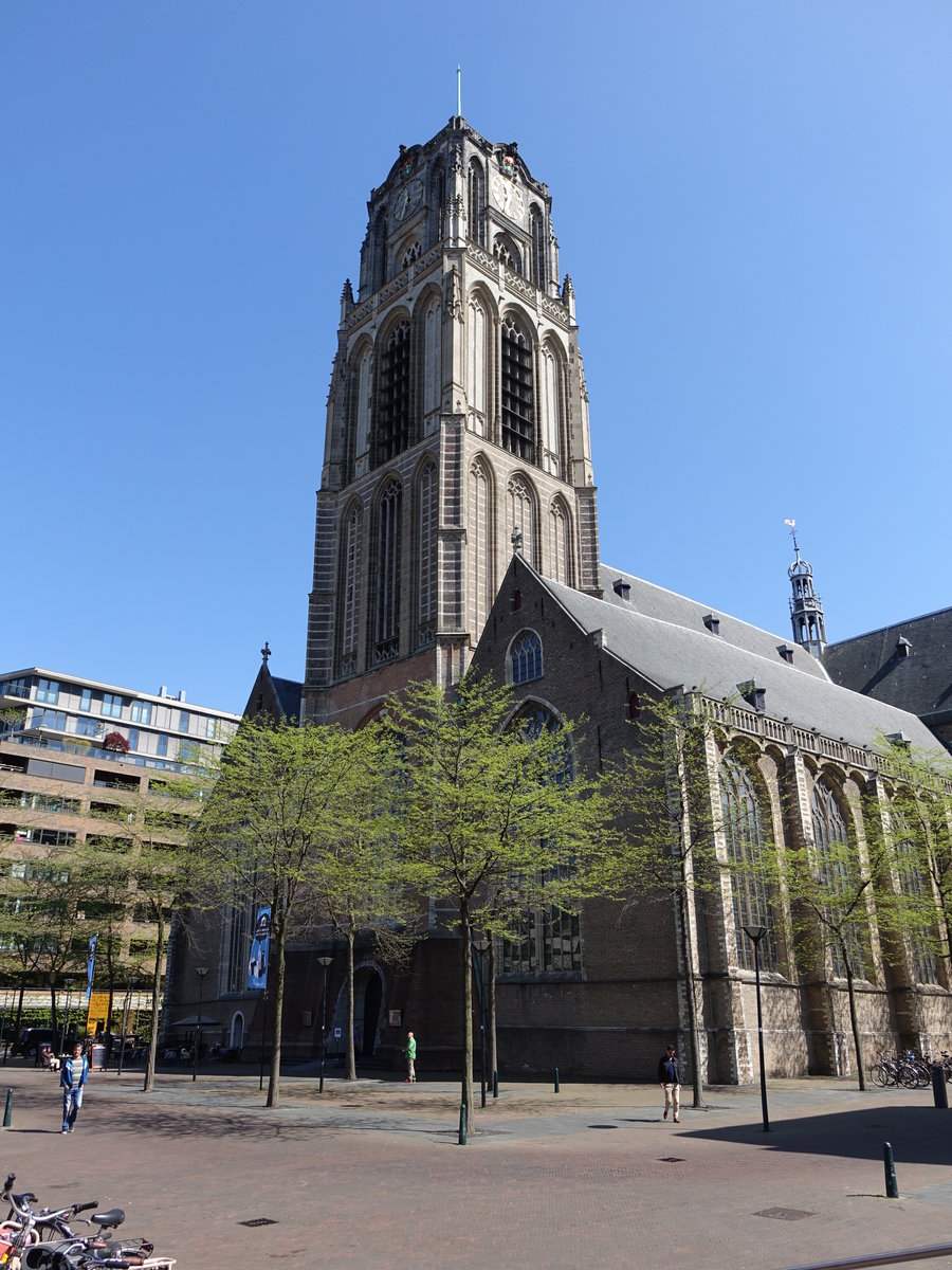 Rotterdam, St. Laurenskerk, sptgotische kreuzfrmige Basilika, erbaut von 1440 bis 1488, Wiederherstellung von 1951 bis 1968 (11.05.2016)