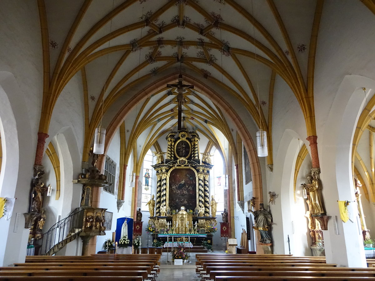 Rotthalmnster, Innenraum der Pfarrkirche Maria Himmelfahrt, erbaut von 1479 bis 1481 durch Hans Wechselberger (20.10.2018)