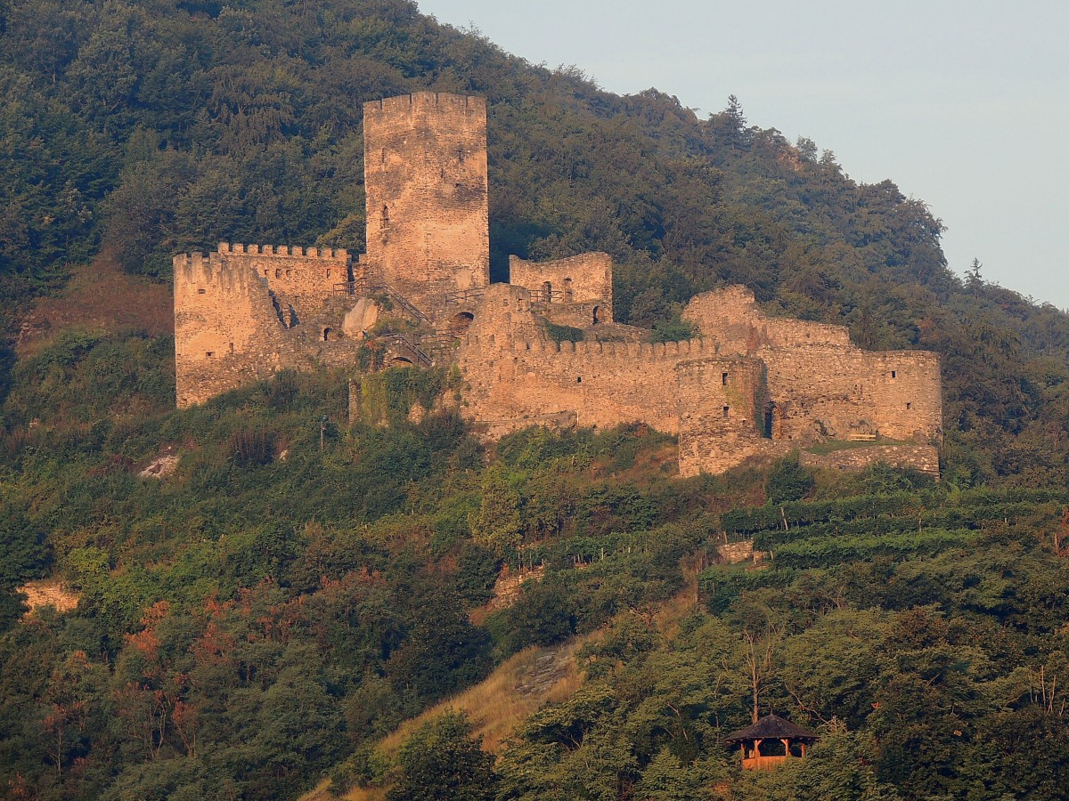 Ruine Hinterhaus thront in der Morgensonne am Jauerling, dem Hausberg von SPITZ/Donau; 130830