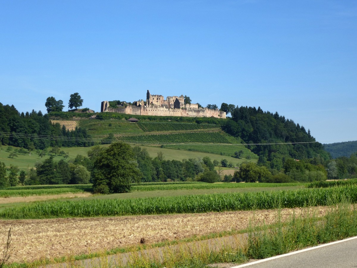 Ruine Hochburg, die zweitgrte Burganlage in Baden, entstanden um 1120, zerstrt zwischen 1681 und 1688, Aug.2015