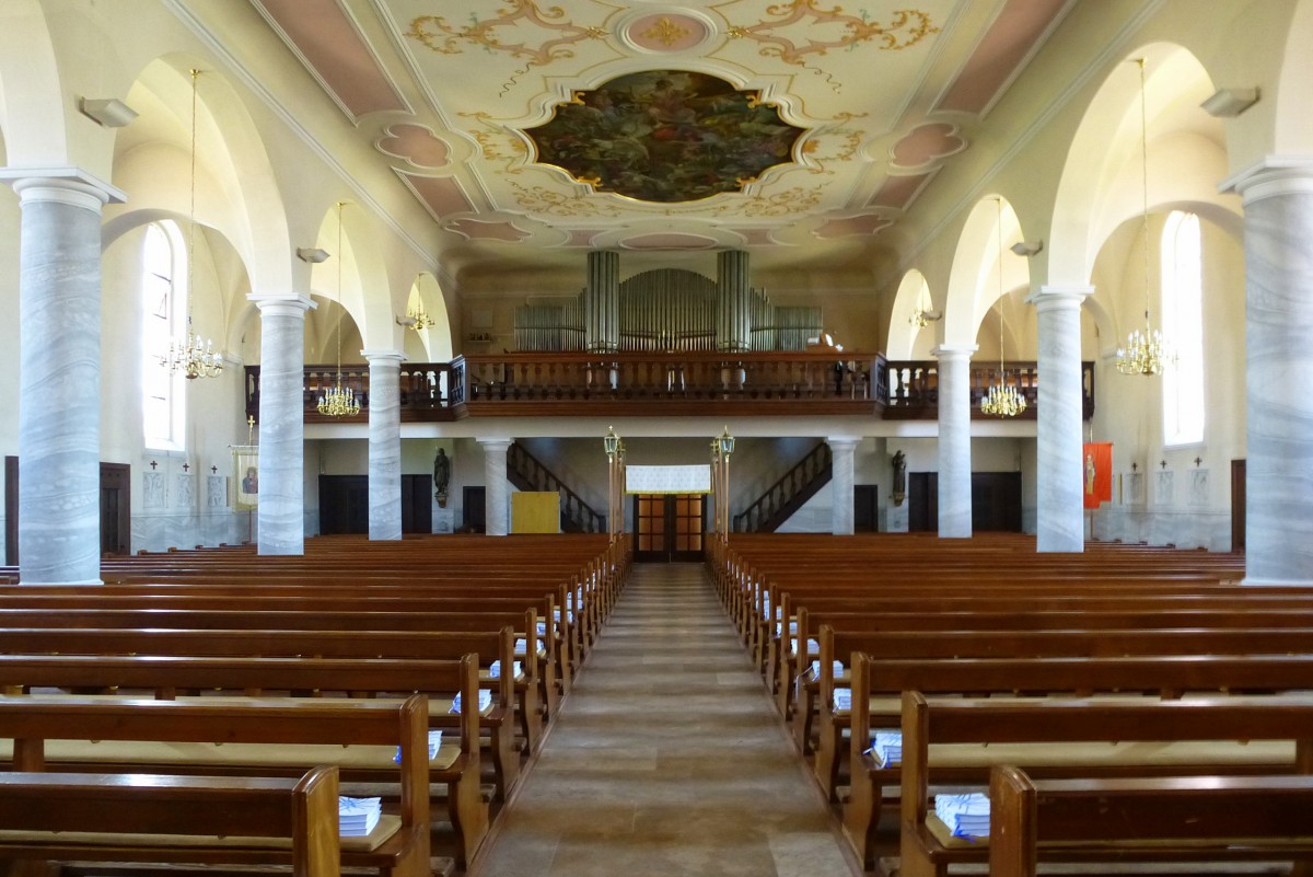 Rust, Pfarrkirche, Blick zur Orgelempore, Juli 2014