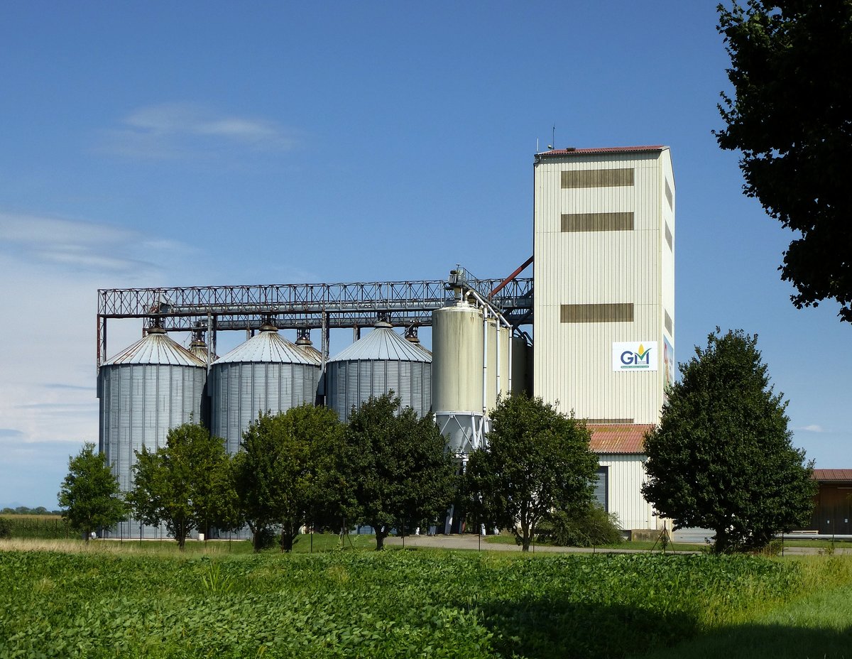 Rustenhart, Siloanlage, fr den hier in groen Mengen angebauten Krnermais, Aug.2017