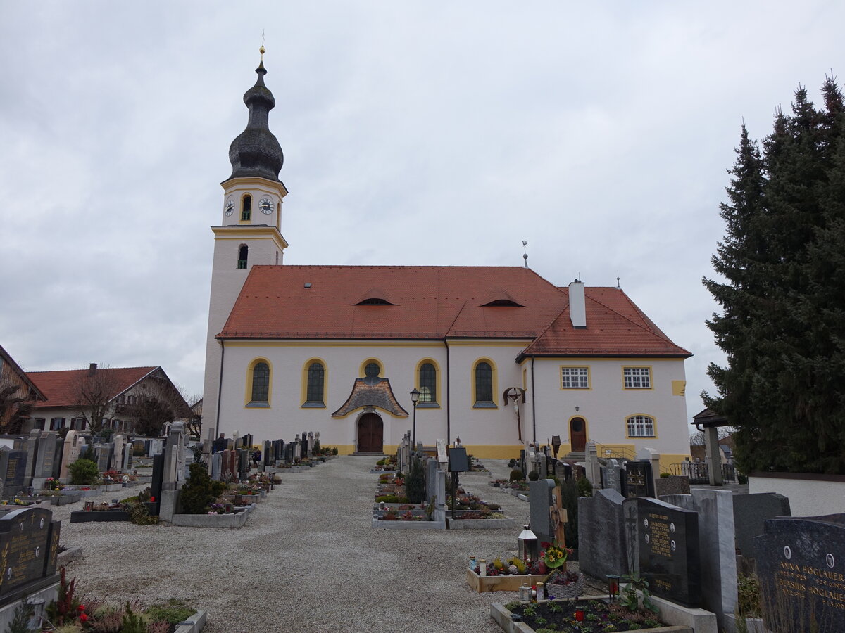 Saaldorf, Pfarrkirche St. Martin, neubarocker Saalbau, erbaut von 1914 bis 1915 durch Josef Elsner (15.02.2016)