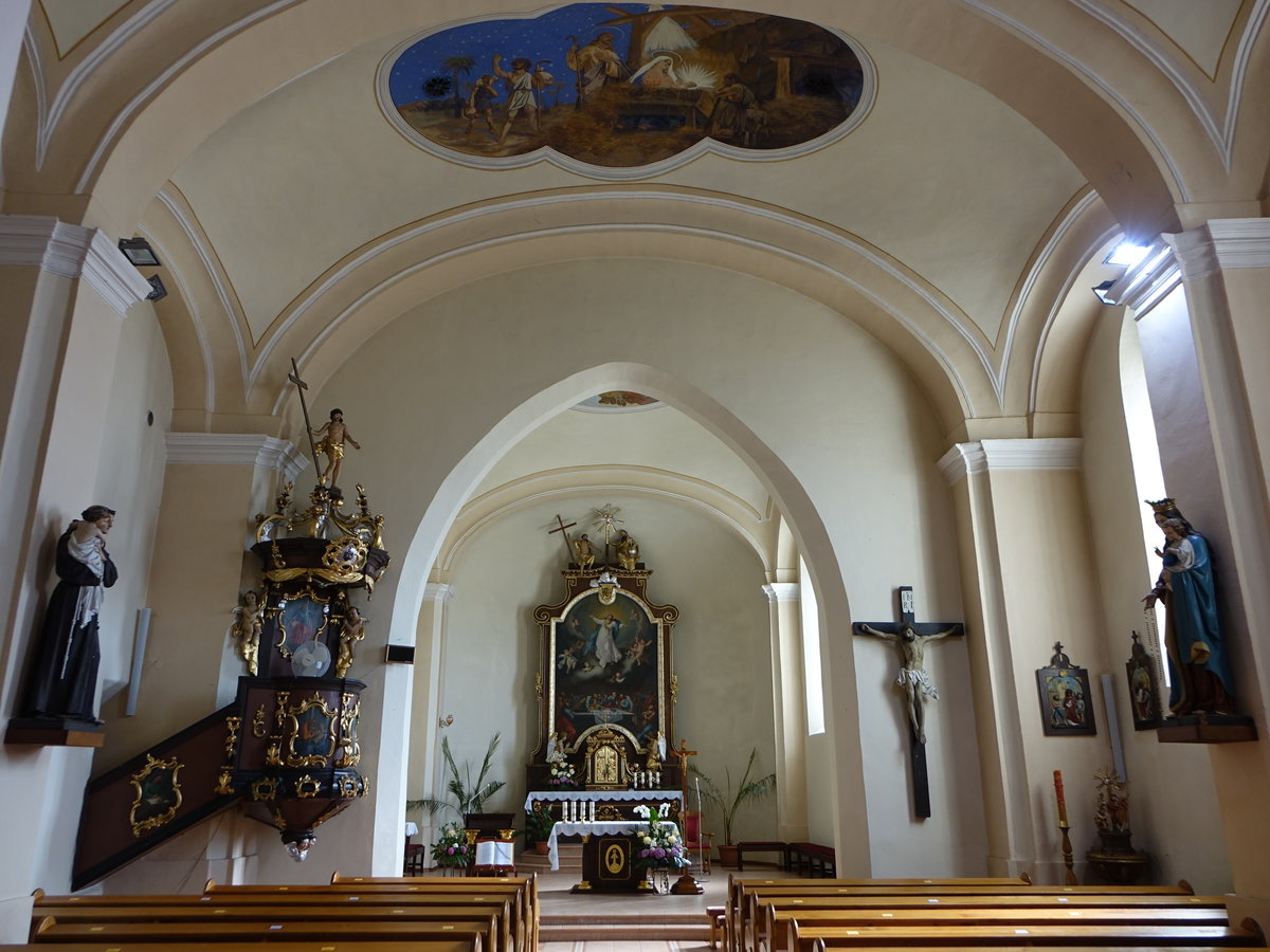 Saca, barocker Innenraum der Maria Himmelfahrt Kirche (30.08.2020)
