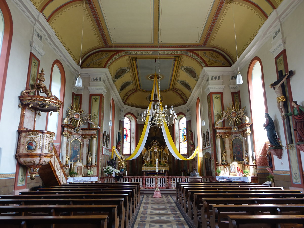 Sailauf, barocker Innenraum der Pfarrkirche St. Vitus (13.05.2018)
