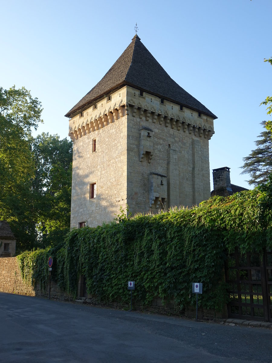 Saint-Lon-sur-Vzre, das Manoir de la Salle liegt am Eingang der Ortschaft, in einem Park direkt neben der Durchgangsstrae. Die kleine Burg wurde aus Feldsteinen erbaut und hat noch einen viereckigen, mit Steinplatten gedeckten Donjon aus der Entstehungszeit vorzuweisen (23.07.2018)