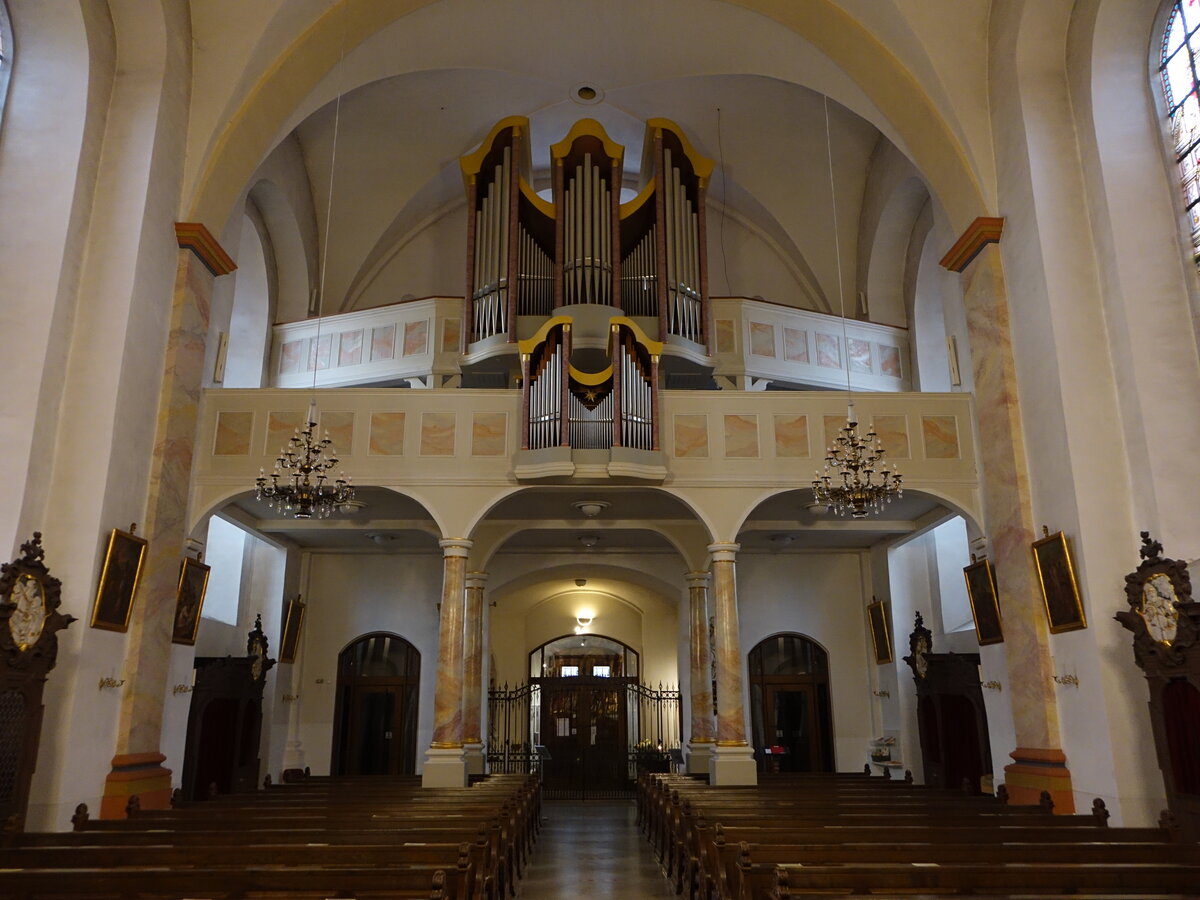 Salmnster, Orgelempore in der St. Peter und Paul Kirche (30.10.2021)