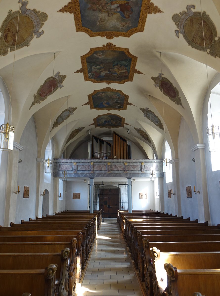 Saltendorf a. d. Naab, barocker Innenraum der Wallf. Kirche Maria Himmelfahrt (25.03.2018)