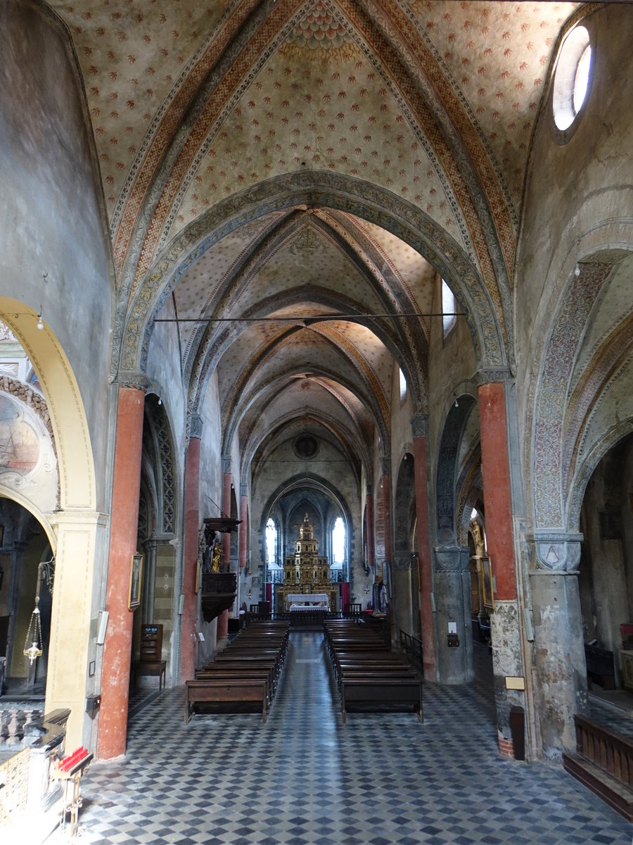 Saluzzo, gotischer Innenraum der Pfarrkirche St. Giovanni (03.10.2018)