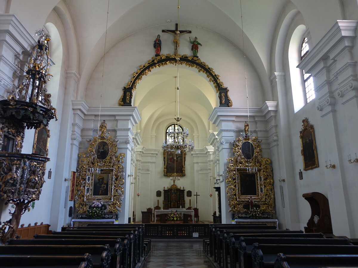 Sandomierz, barocker Innenraum der St. Michael Kirche, Kanzel von Mateusz Roskwidowicz (18.06.2021)