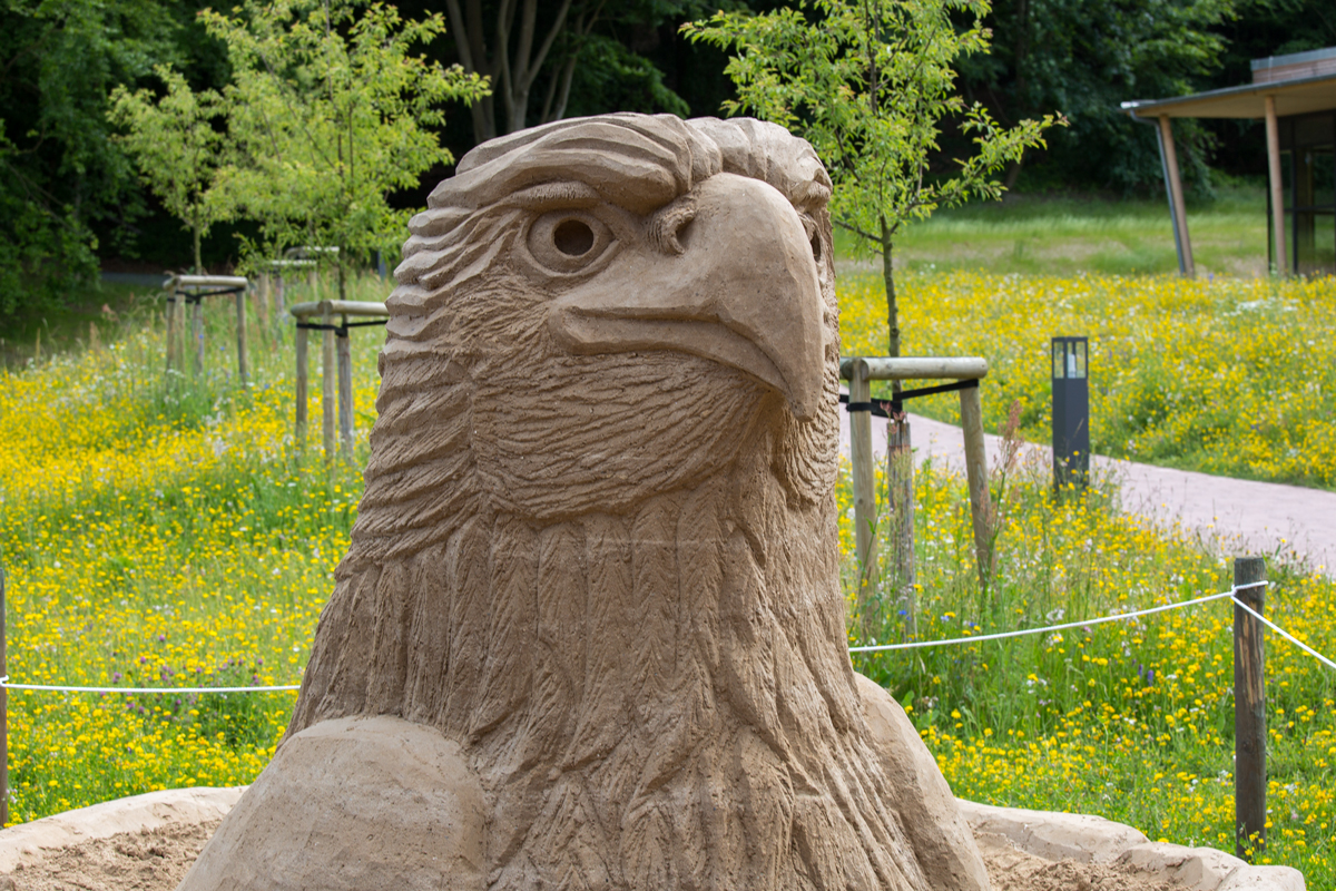 Sandskulptur im Naturerbe Zentrum Prora. - 23.06.2014