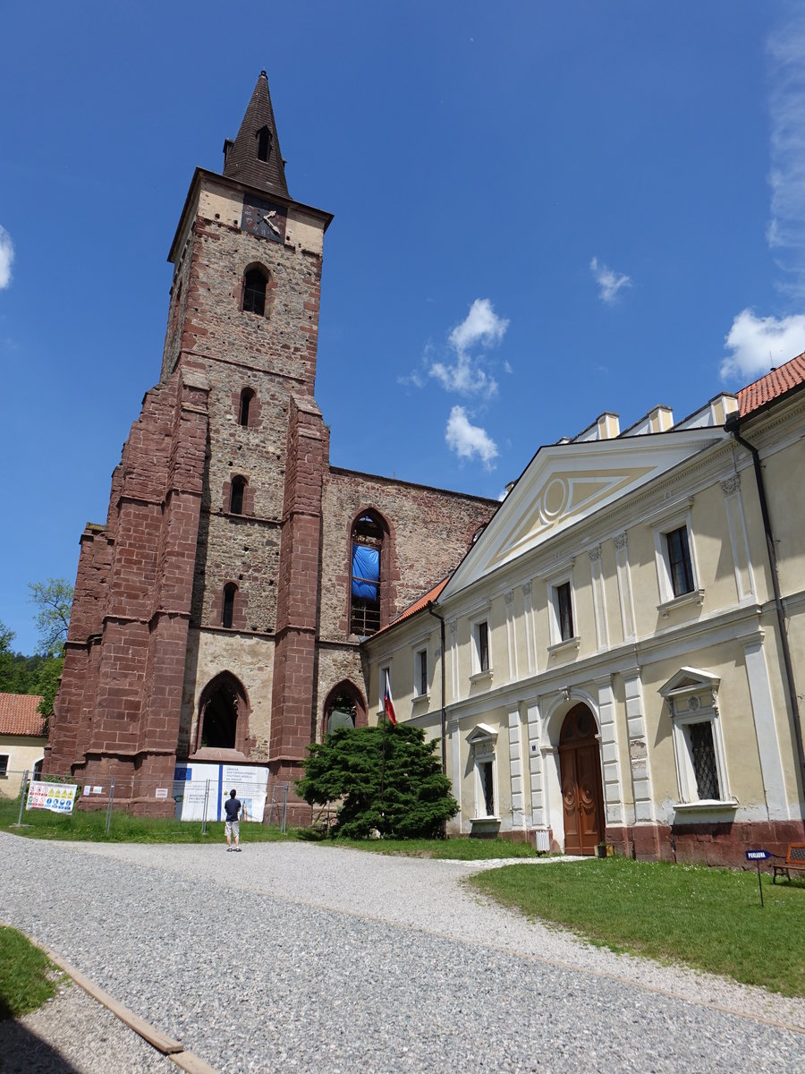 Sazava/Sasau, Klosterkirche St. Prokop, erbaut von 1663 bis 1687 im frhbarocken Stil (01.06.2019)