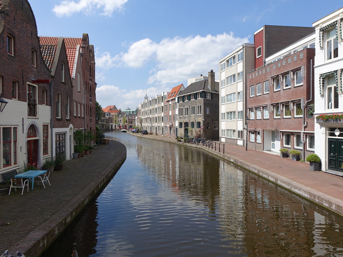 Schiedam, Huser am Lange Haven (11.05.2016)