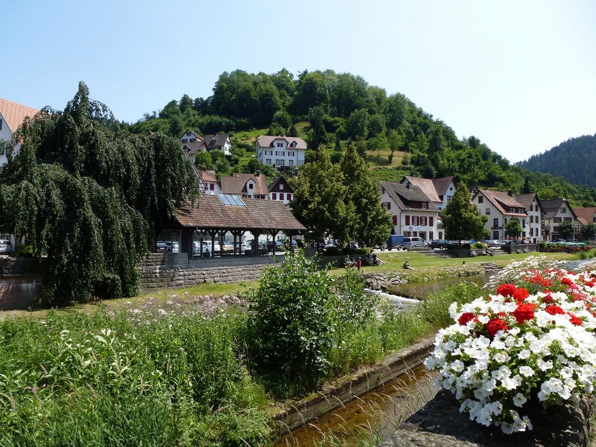 Schiltach, Blick ber die Schiltach zum Schloberg, Juni 2013