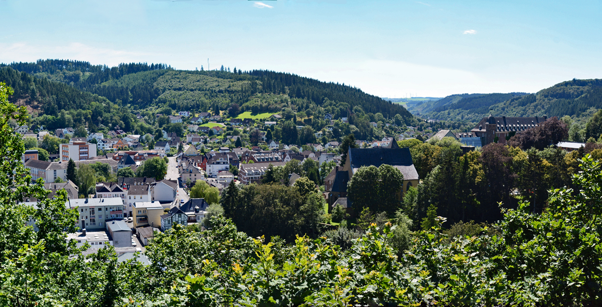 Schleiden, Blick auf die  grne Stadt , rechts am Rand Schlo Schleiden - 07.08.2016