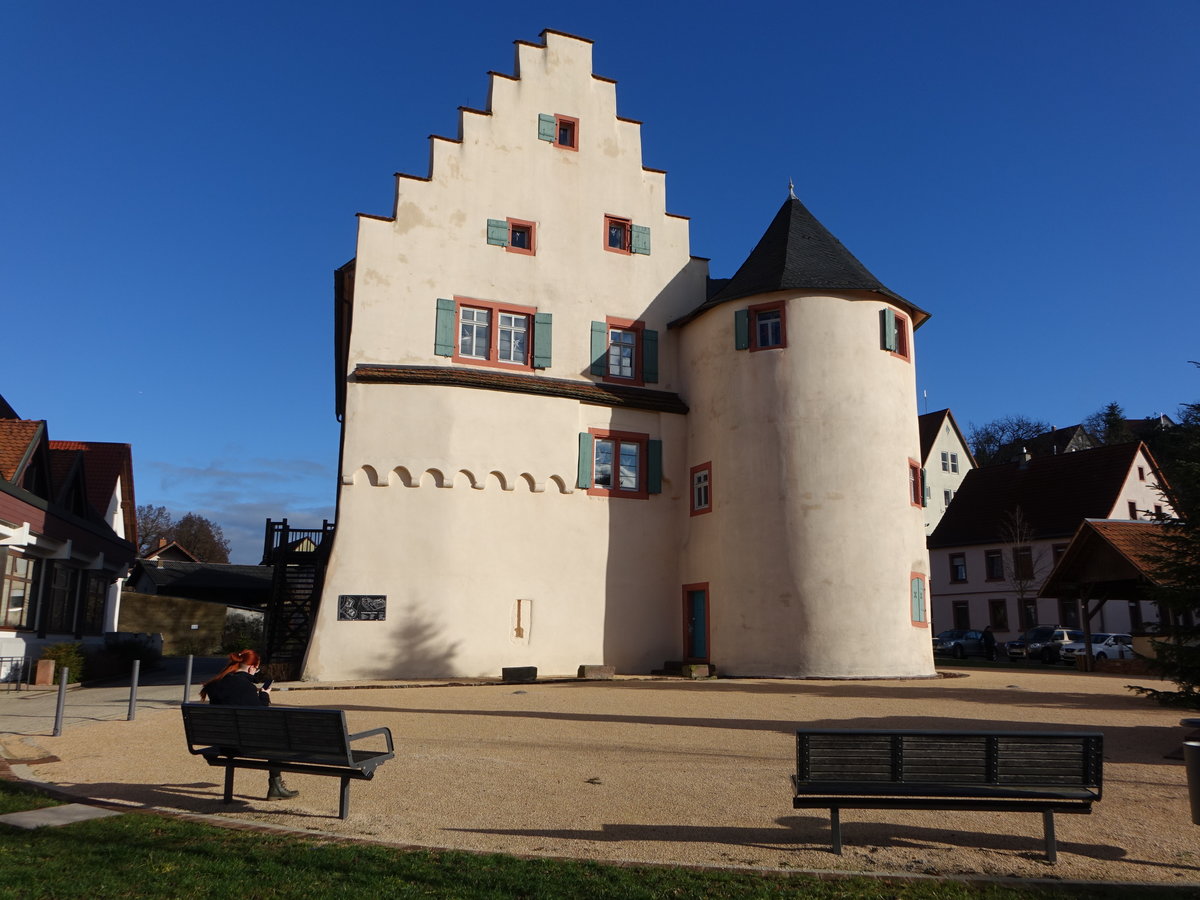 Schloss Dallau, ehemalige Wasserburg des Deutschen Orden, erbaut im 15. Jahrhundert (24.12.2018)