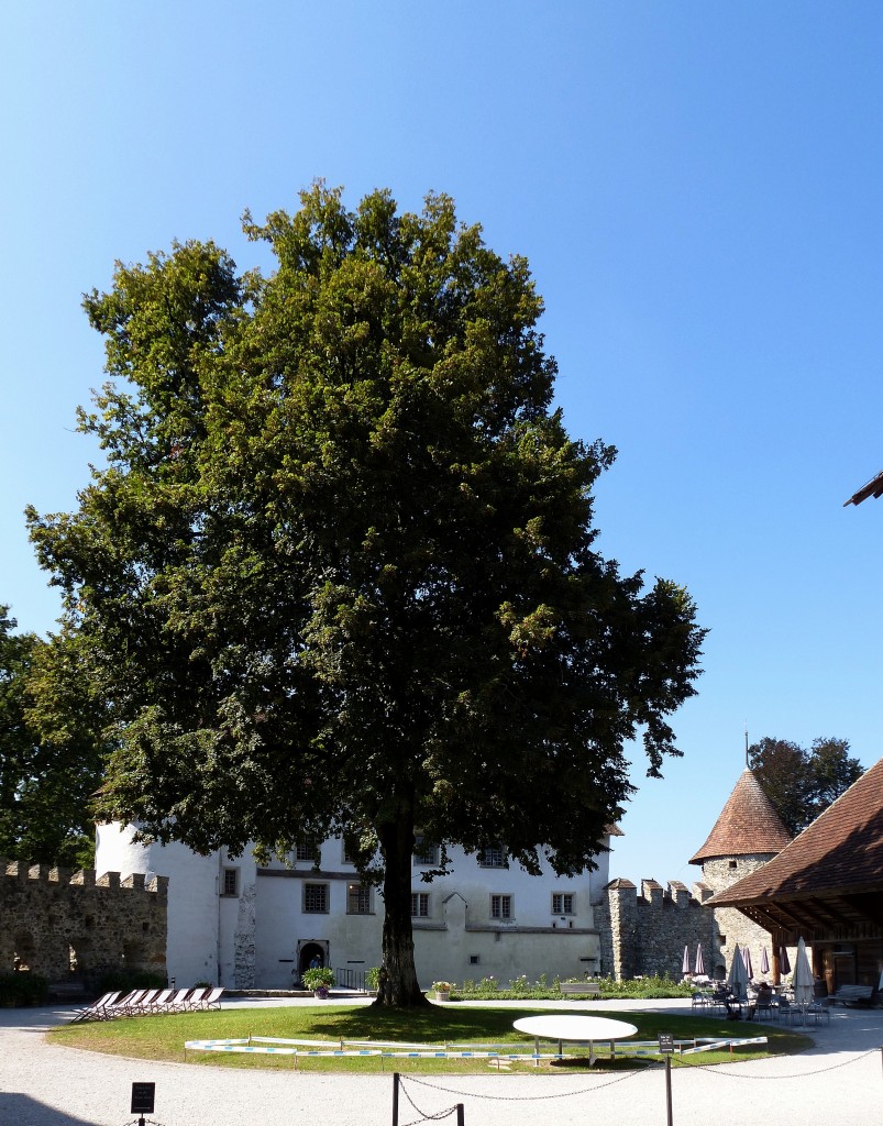 Schlo Hallwyl, Blick in den Innenhof der vorderen Insel, Sept.2015