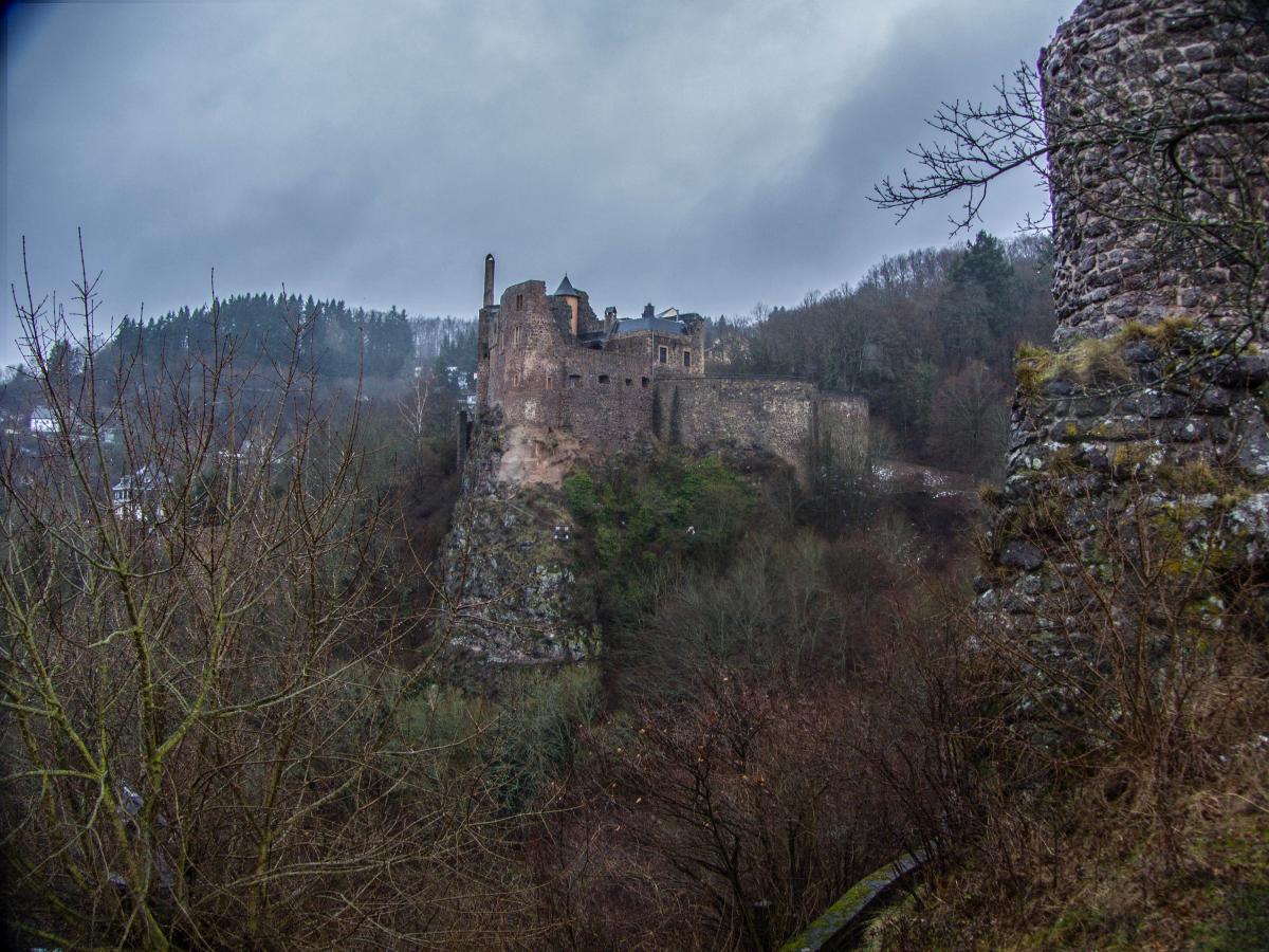 Schlo Oberstein, von der Burgruine fotografiert (29.01.2013)