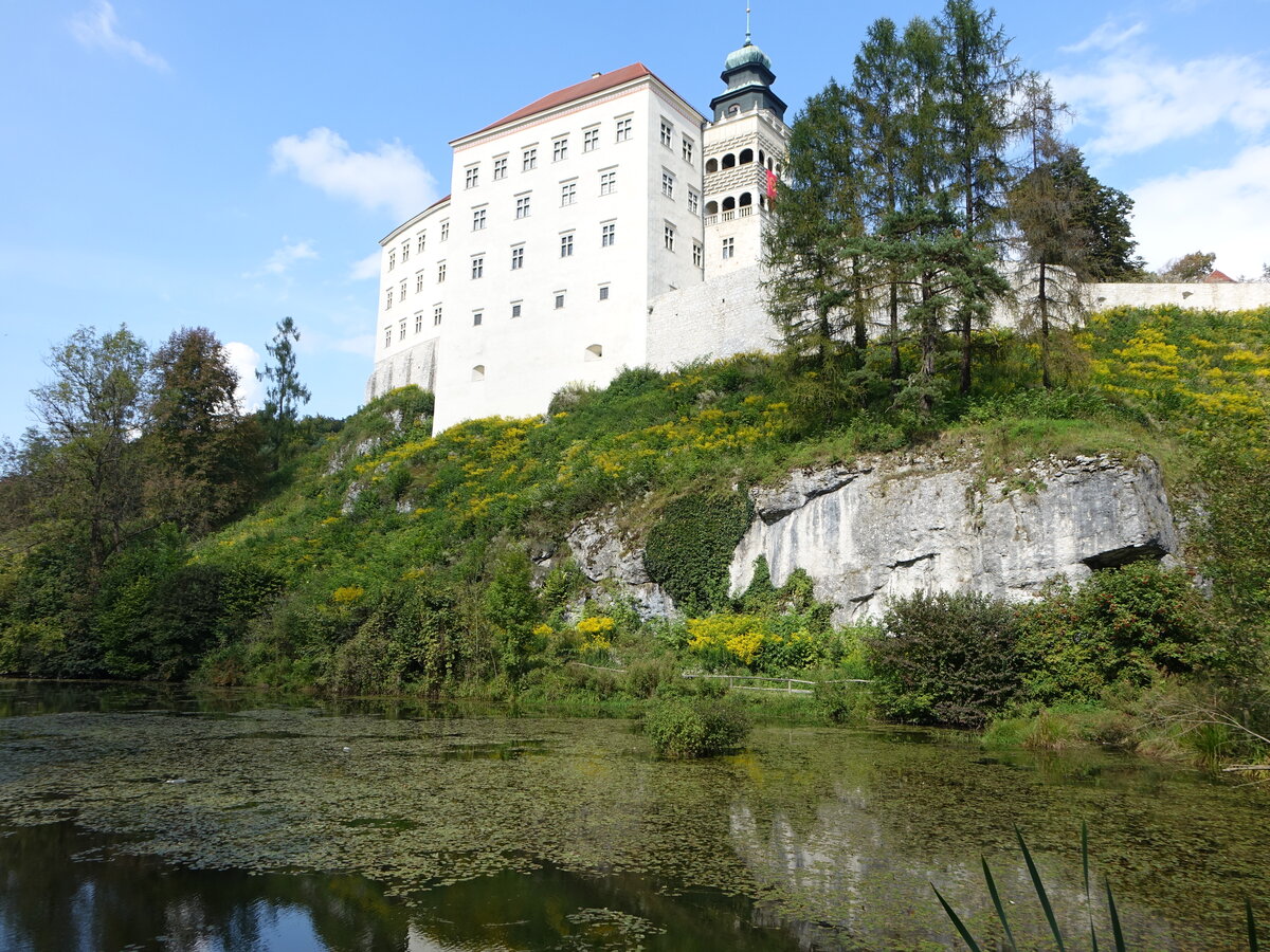Schloss Pieskowa Skala auf einem Jurafelsen, erbaut im 14. Jahrhundert (14.09.2021)
