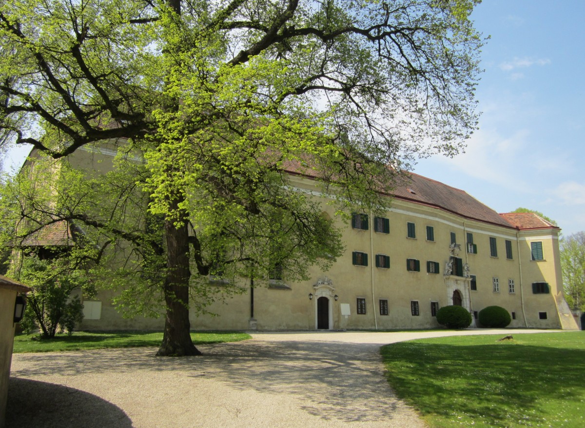 Schloss Sierndorf, vierflgelige von einem Park umgebene Anlage mit Eckrisaliten, 
im Ostflgel befindet sich die Schlosskapelle (19.04.2014)