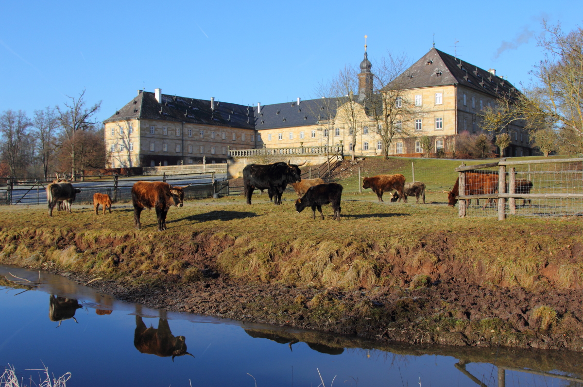 Schloss Tambach am 30.12.2016.